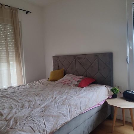 Apartmán Ribnica Podgorica Exteriér fotografie